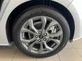 Ford Focus 1.5 Ecoblue ST-Line 115cv Automatica KM 31.000 Argento - thumbnail 15