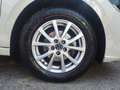 Volkswagen Polo Life TSI DSG Grau - thumbnail 6