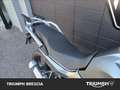 Honda Transalp XLAbs Grigio - thumbnail 4