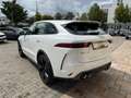 Jaguar F-Pace P550 SVR AWD 405 kW (551 PS), Autom. 8-Gang, Al... Weiß - thumbnail 4