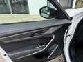 Jaguar F-Pace P550 SVR AWD 405 kW (551 PS), Autom. 8-Gang, Al... Weiß - thumbnail 6