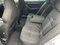 Skoda Octavia Combi 2,0 TDI Ambition DSG - thumbnail 7