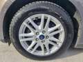 Ford Focus Automatik Titanium 1,6Ti-VCT Aut.NUR-28.000 km Braun - thumbnail 16