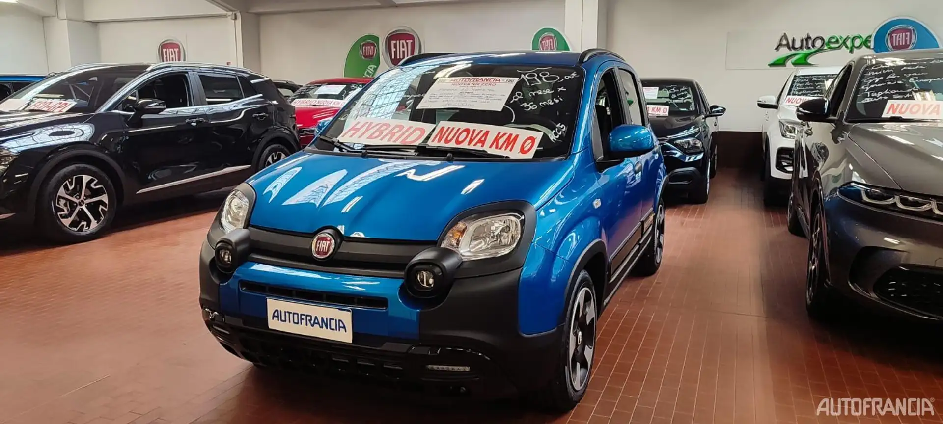Fiat Panda PANDA - 1.0 HYBRID 70CV PANDINA Azul - 1