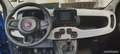 Fiat Panda PANDA - 1.0 HYBRID 70CV PANDINA Blau - thumbnail 4