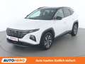 Hyundai TUCSON 1.6 T-GDI Hybrid Trend 4WD Weiß - thumbnail 1