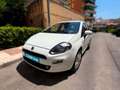 Fiat Punto 1.2 8v Young 69 CV SS Gasolina Blanco - thumbnail 2