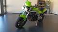 Triumph TRIUMPH MOTORCYCLES LTD 509 RP SPEED T.P Verde - thumbnail 3