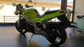 Triumph TRIUMPH MOTORCYCLES LTD 509 RP SPEED T.P Verde - thumbnail 4