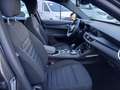Alfa Romeo Stelvio Super Business rwd Automatica Gris - thumbnail 14
