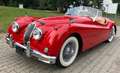 Jaguar XK OTS Rouge - thumbnail 1