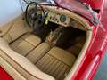 Jaguar XK OTS Rouge - thumbnail 4