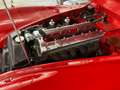 Jaguar XK OTS Rouge - thumbnail 6