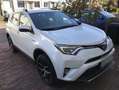 Toyota RAV 4 2.5 4x4 Hybrid Comfort Weiß - thumbnail 3