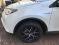Toyota RAV 4 2.5 4x4 Hybrid Comfort Weiß - thumbnail 5