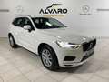 Volvo XC60 D4 Business Plus Aut. Blanco - thumbnail 17