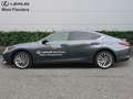 Lexus ES 300 LEATHER+OPENROOF+CAM+SENSORS Grijs - thumbnail 5