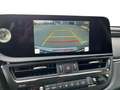 Lexus ES 300 LEATHER+OPENROOF+CAM+SENSORS Grijs - thumbnail 11