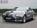 Lexus ES 300 LEATHER+OPENROOF+CAM+SENSORS Grijs - thumbnail 1