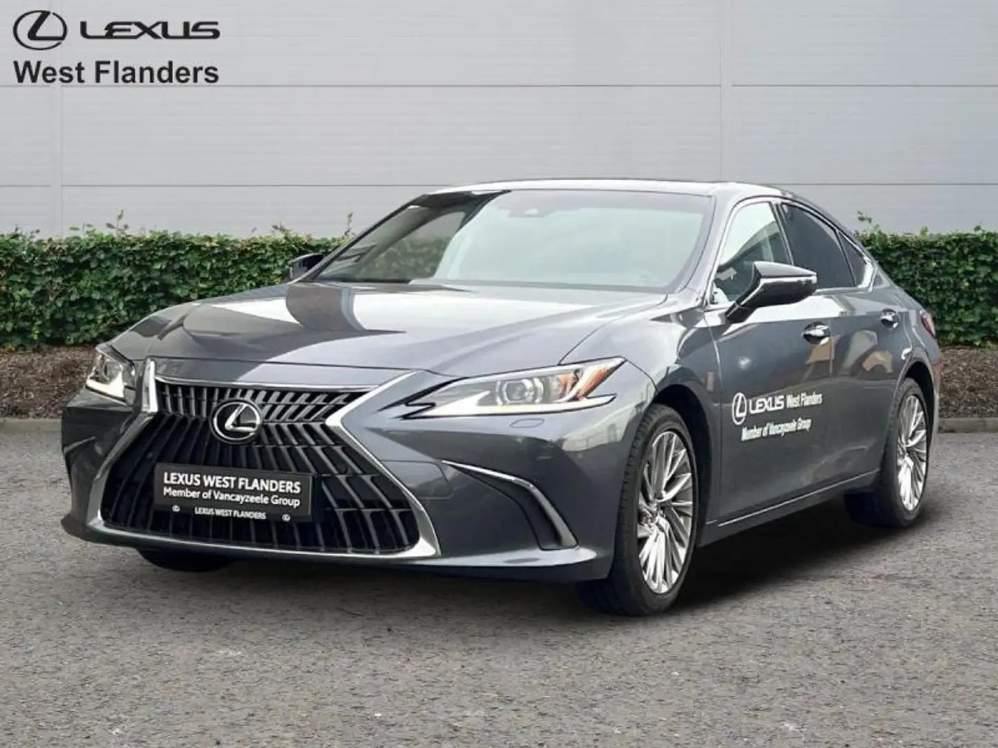 Lexus ES 300 LEATHER+OPENROOF+CAM+SENSORS Grijs - 1