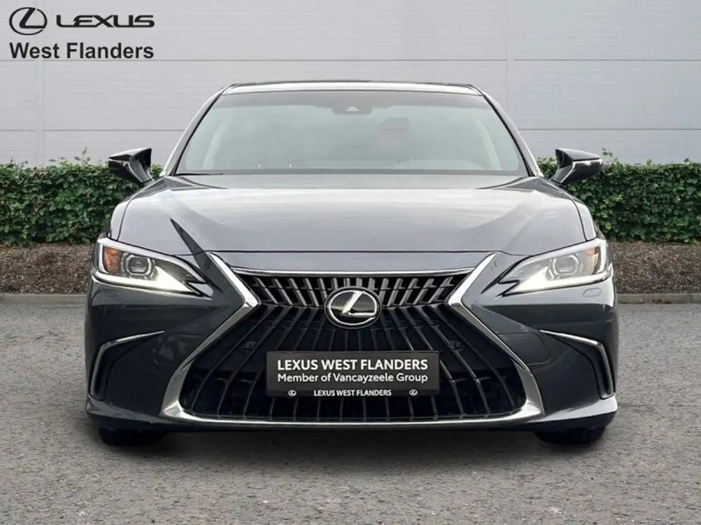 Lexus ES 300 LEATHER+OPENROOF+CAM+SENSORS Grijs - 2