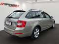 Skoda Octavia Combi Elegance*Klima*Tempomat*SHZ1.6 TDI Beige - thumbnail 3
