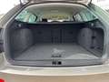 Skoda Octavia Combi Elegance*Klima*Tempomat*SHZ1.6 TDI Beige - thumbnail 12
