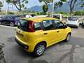 Fiat Panda Panda 1.0 FireFly S&S Hybrid - thumbnail 14
