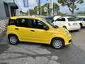 Fiat Panda Panda 1.0 FireFly S&S Hybrid - thumbnail 5