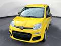 Fiat Panda Panda 1.0 FireFly S&S Hybrid - thumbnail 1