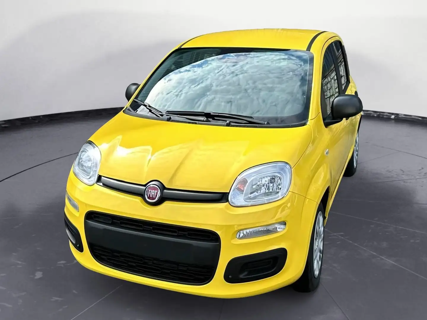 Fiat Panda Panda 1.0 FireFly S&S Hybrid - 1