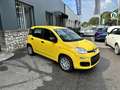 Fiat Panda Panda 1.0 FireFly S&S Hybrid - thumbnail 4