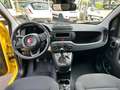 Fiat Panda Panda 1.0 FireFly S&S Hybrid - thumbnail 6