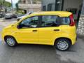 Fiat Panda Panda 1.0 FireFly S&S Hybrid - thumbnail 12