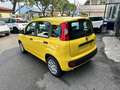 Fiat Panda Panda 1.0 FireFly S&S Hybrid - thumbnail 3