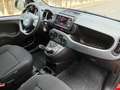 Fiat Panda Panda 1.0 firefly hybrid Cross s&s 70cv 5p.ti Rosso - thumbnail 7
