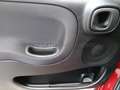 Fiat Panda Panda 1.0 firefly hybrid Cross s&s 70cv 5p.ti Rosso - thumbnail 13