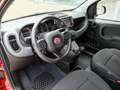 Fiat Panda Panda 1.0 firefly hybrid Cross s&s 70cv 5p.ti Rosso - thumbnail 19