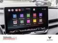 CUPRA Terramar 1.5 eTSI LED NAVI SHZ PANO Wit - thumbnail 15