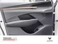 CUPRA Terramar 1.5 eTSI LED NAVI SHZ PANO Wit - thumbnail 13