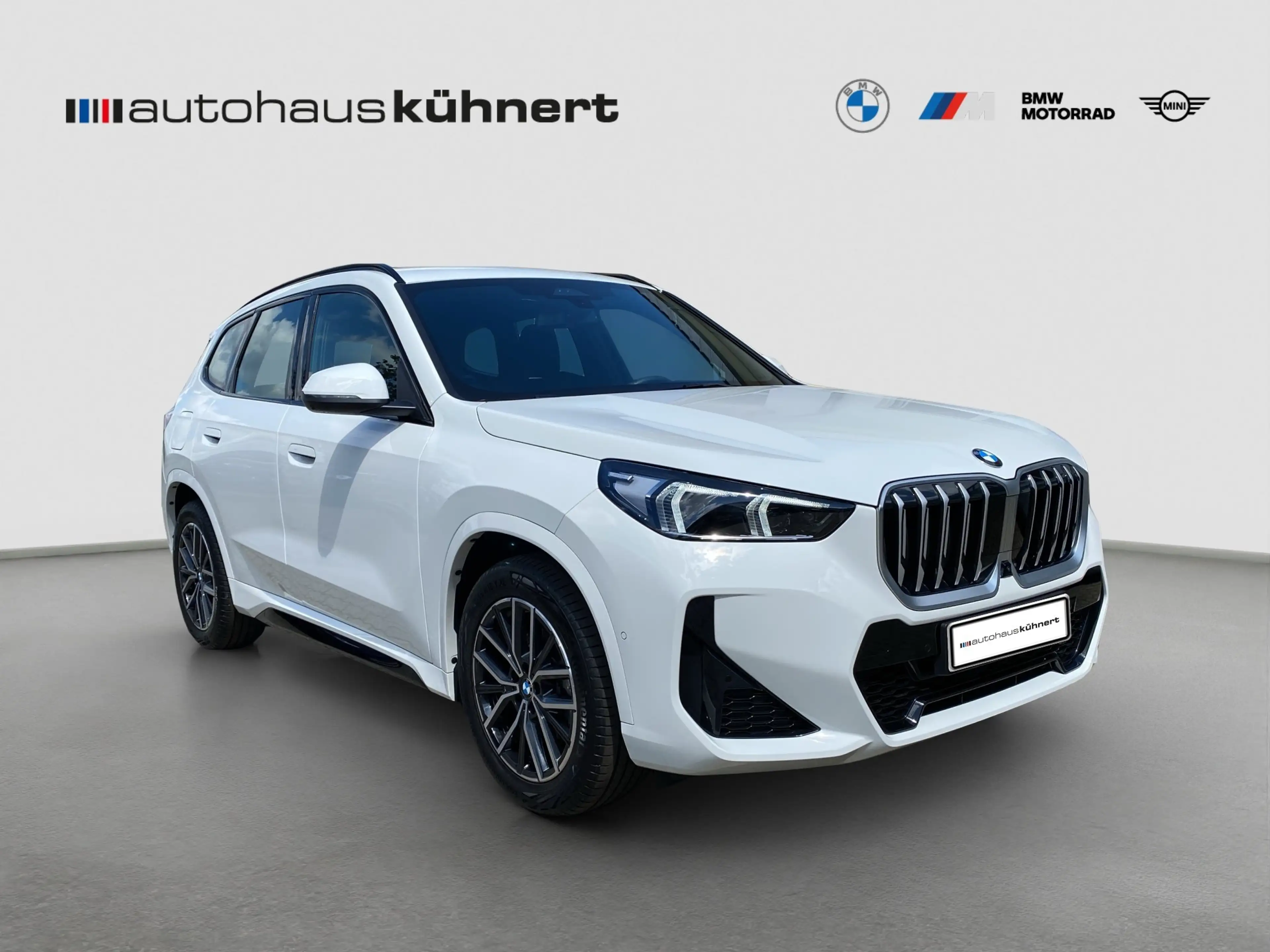 BMW X1 xDrive20d ///M-Sport ACC SpurAss 360° AHK — photo 9
