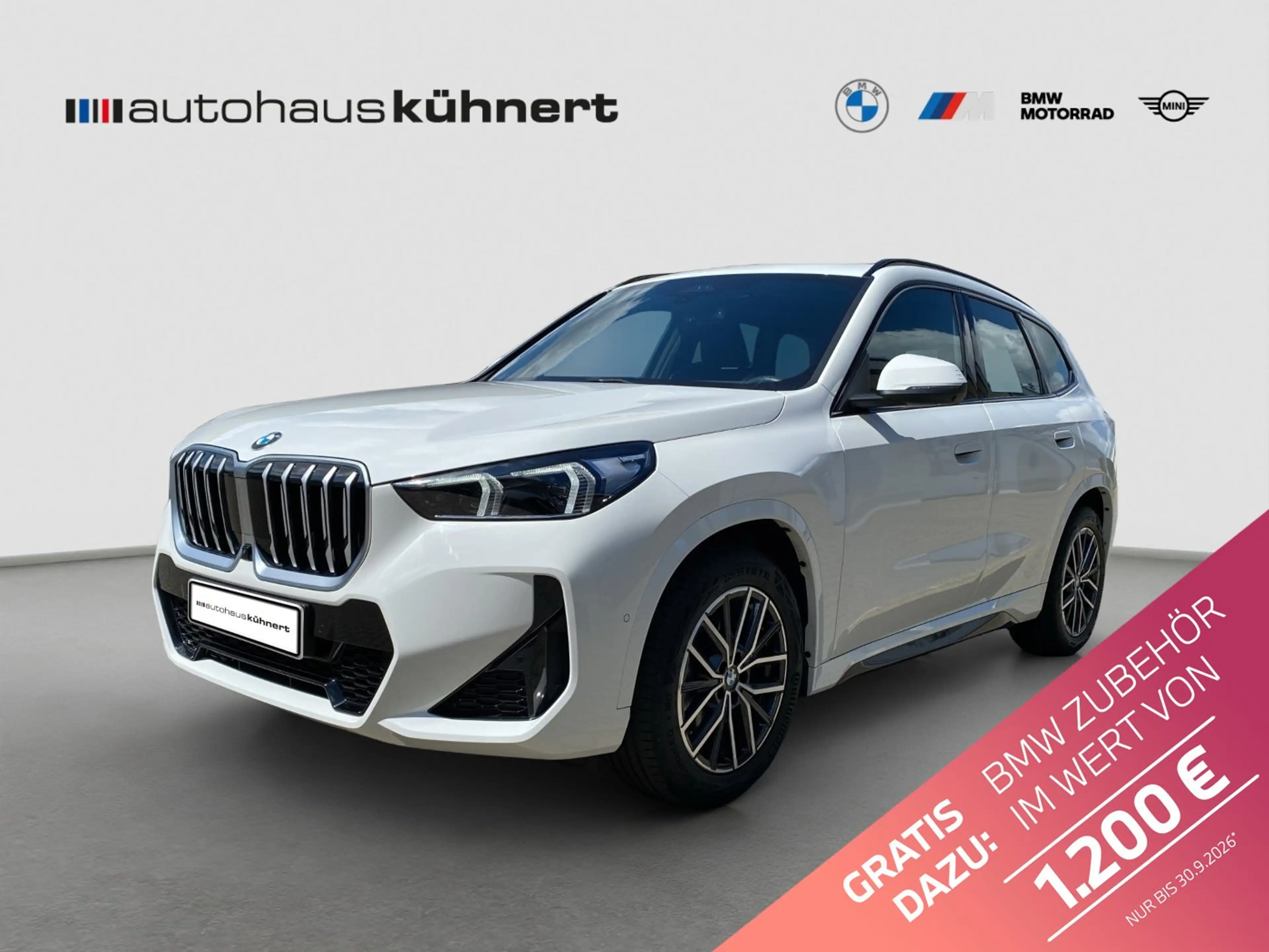 BMW X1 xDrive20d ///M-Sport ACC SpurAss 360° AHK