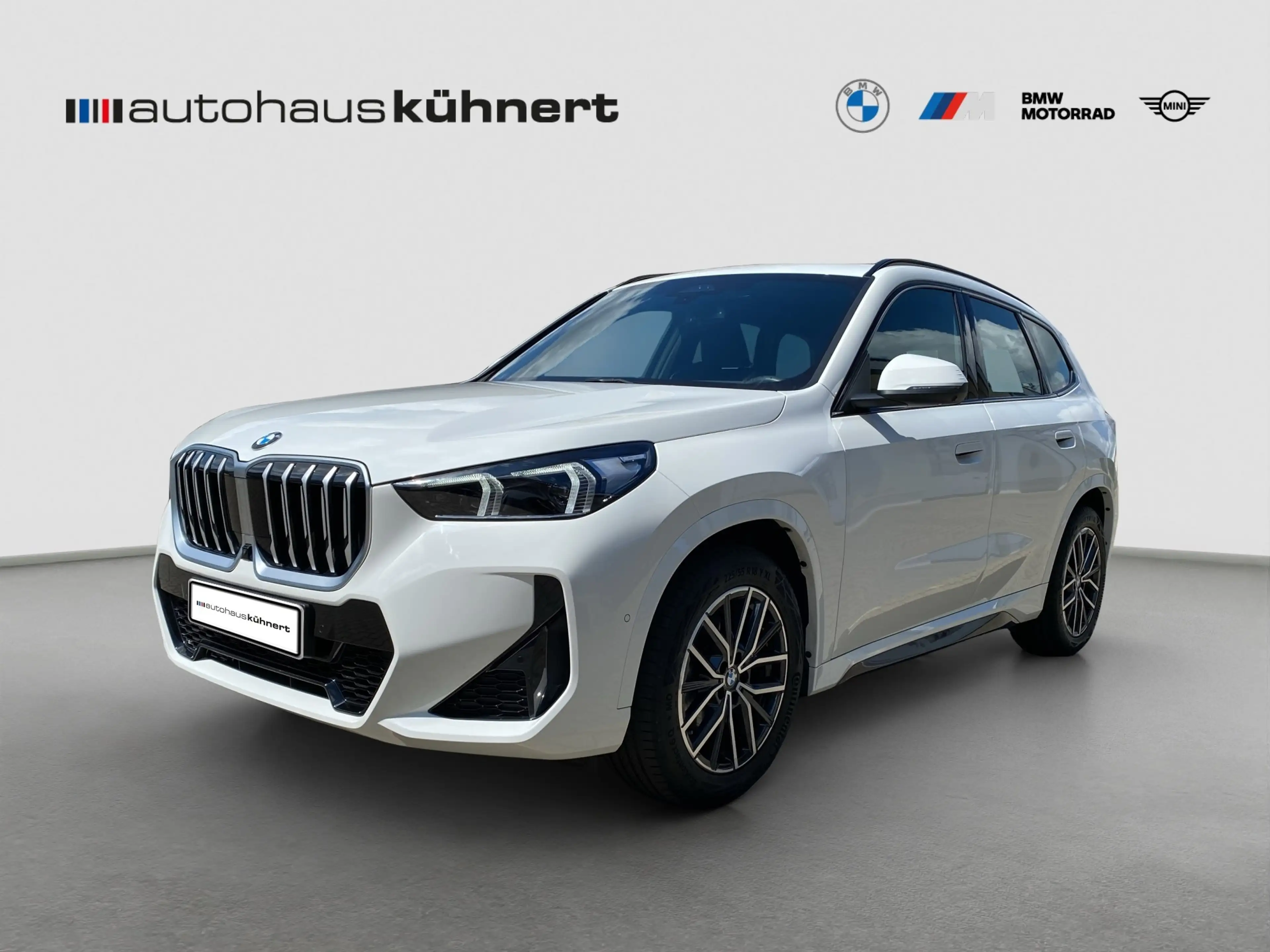 BMW X1 xDrive20d ///M-Sport ACC SpurAss 360° AHK — photo 2