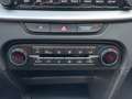 Kia Ceed SW / cee'd SW Sportswagon 1.0 T-GDi DynamicLine Navi Camera Carp Weiß - thumbnail 7