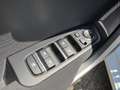Kia Ceed SW / cee'd SW Sportswagon 1.0 T-GDi DynamicLine Navi Camera Carp Weiß - thumbnail 22
