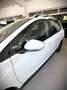 Peugeot 2008 1.2 PureTech S&S Active 110 Blanco - thumbnail 8
