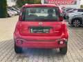 Fiat Panda 1.0 Red KlimaA+LM+Facelift+Carplay Rot - thumbnail 5