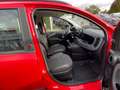 Fiat Panda 1.0 Red KlimaA+LM+Facelift+Carplay Rot - thumbnail 14