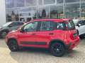 Fiat Panda 1.0 Red KlimaA+LM+Facelift+Carplay Rot - thumbnail 4