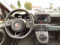Fiat Panda 1.0 Red KlimaA+LM+Facelift+Carplay Rouge - thumbnail 17